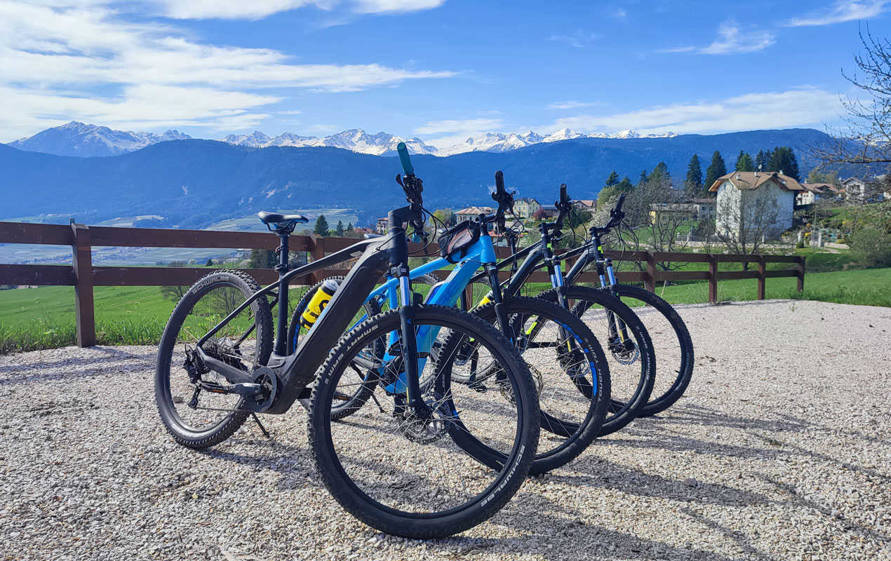 Albergo Bucaneve - taverna